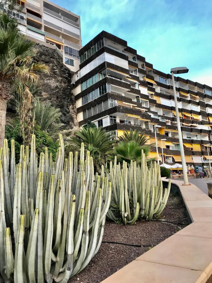 Exclusives Apartment 10 Meters To Ocean Maspalomas  Eksteriør bilde